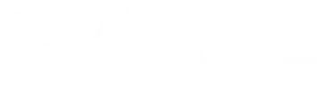 Verge-Logo-white logo